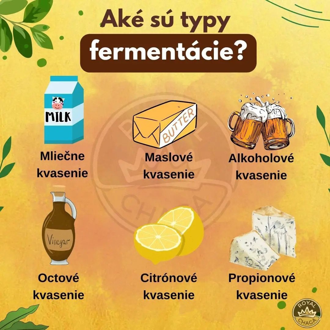 Aké sú tipy fermentácie